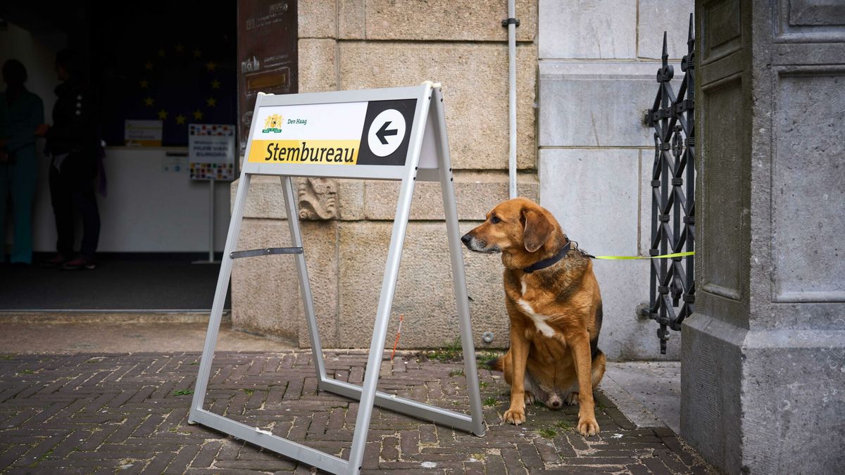 ¿Por qué Holanda vota hoy en las elecciones europeas y antes que España? Cuántos días dura la votación