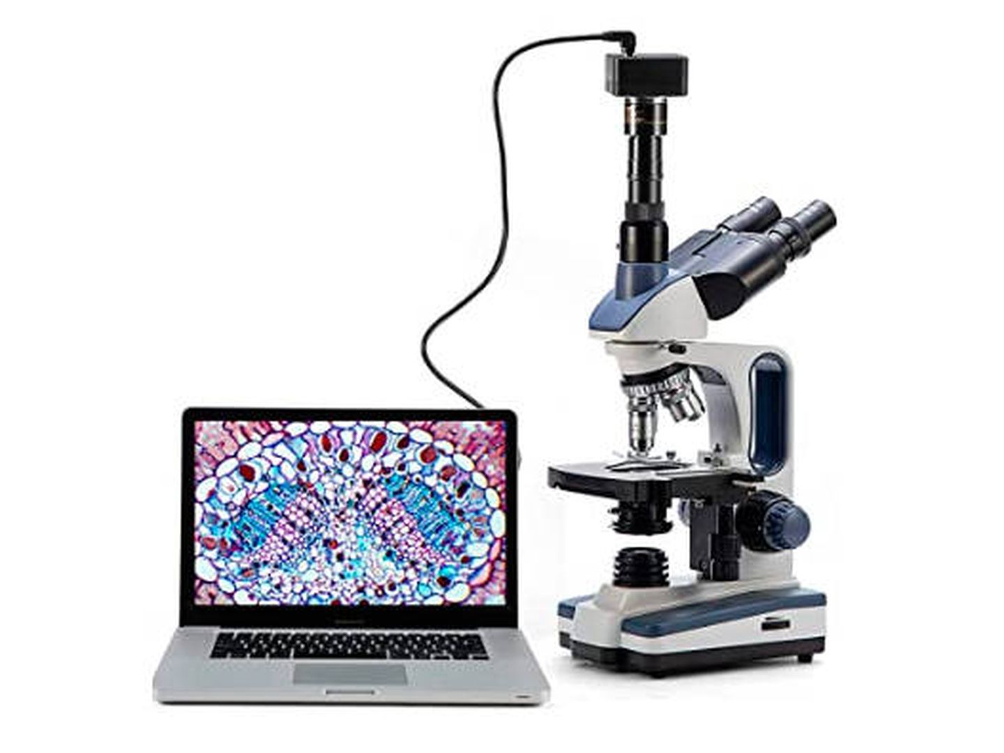 Alternativa: Microscopio de laboratorio Swift