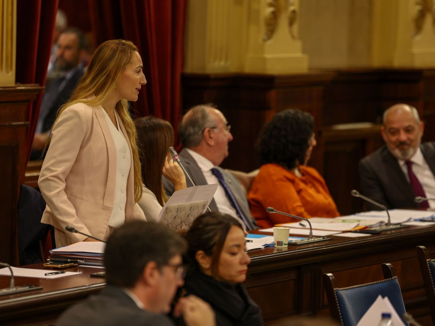 Patricia de las Heras interviene en un pleno del Parlamento de Baleares (Tomàs Moyà/Europa Press)
