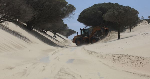 Foto: Retirada de 50.000 metros cúbicos de arena en Valdevaqueros en Tarifa (Cádiz). (EFE)