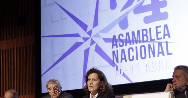 Foto: La actual presidenta de la Federación de Asociaciones de Periodistas de España (FAPE), Elsa González. (EFE)