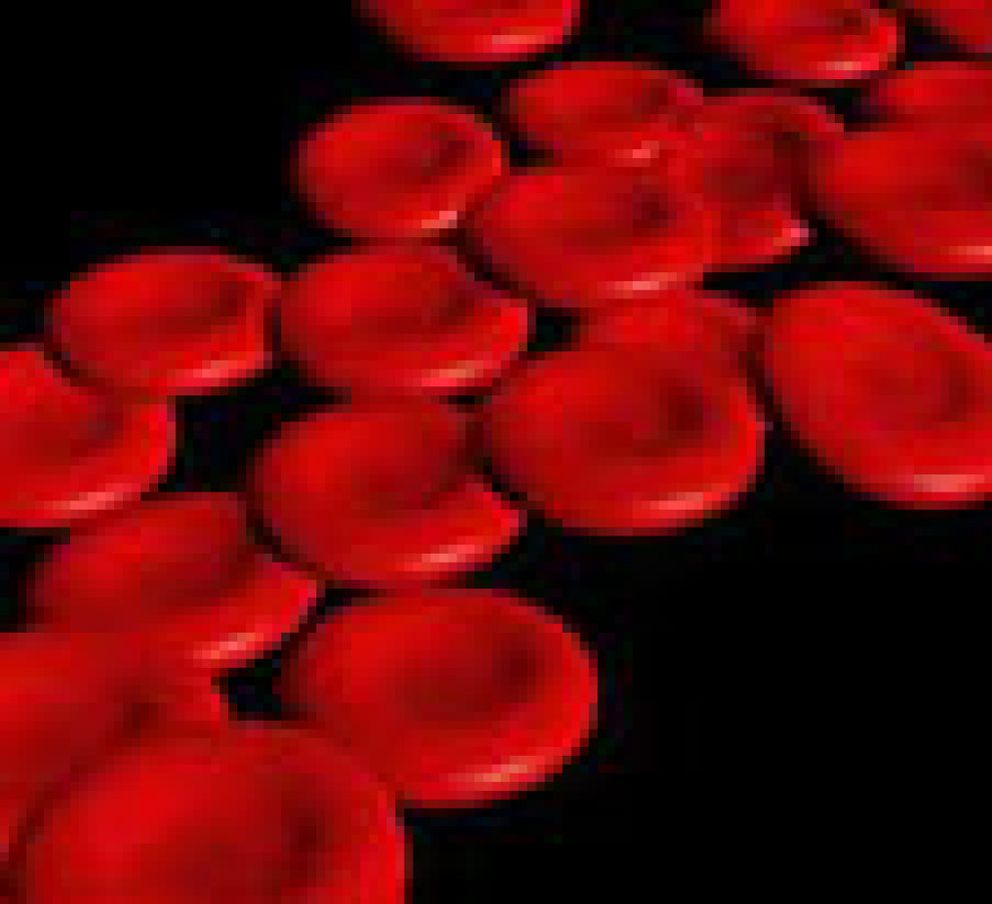 Foto: Cantidades ilimitadas de glóbulos rojos