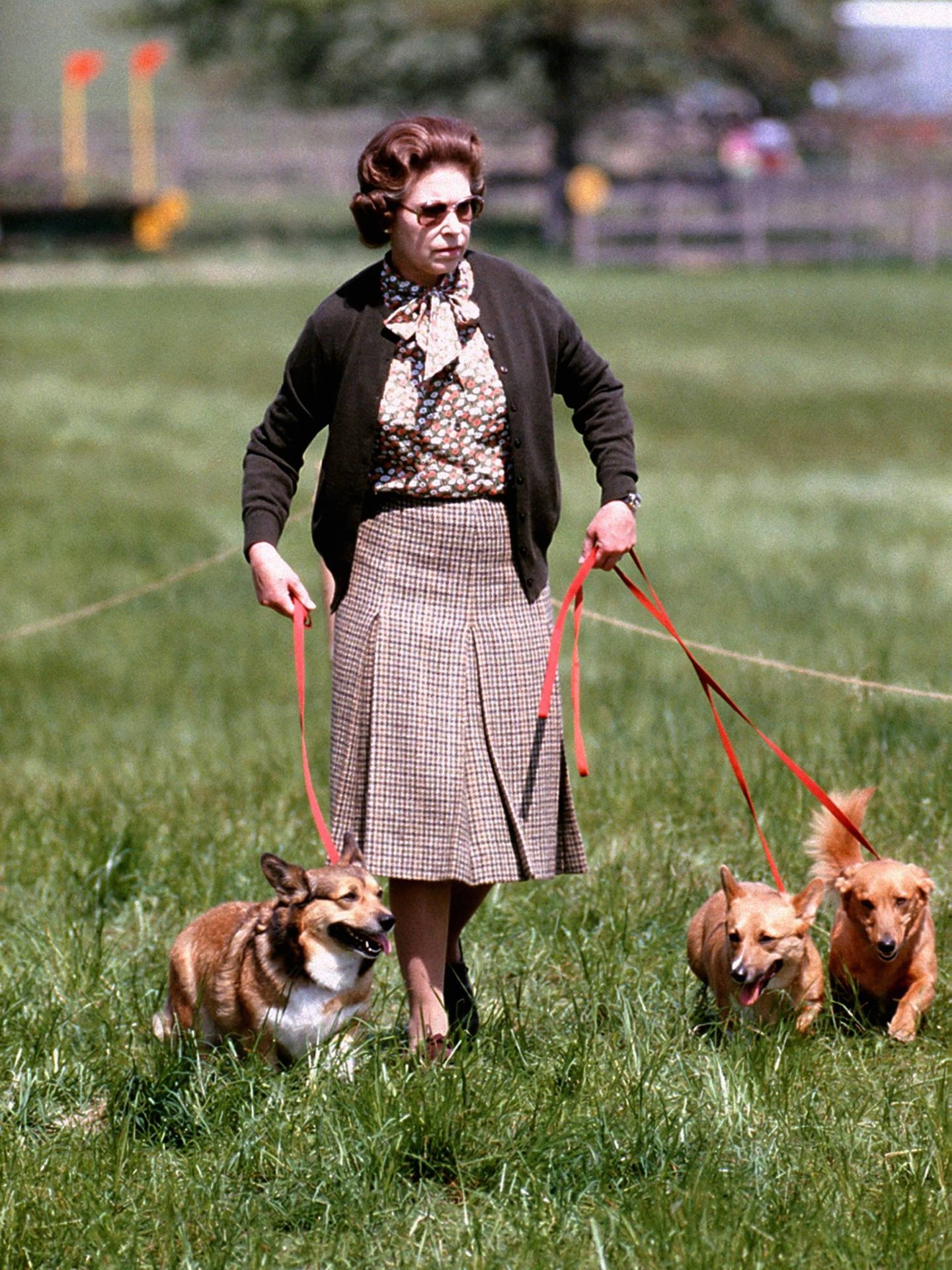 La reina, con sus algunos de sus perros en 1980. (Cordon Press)
