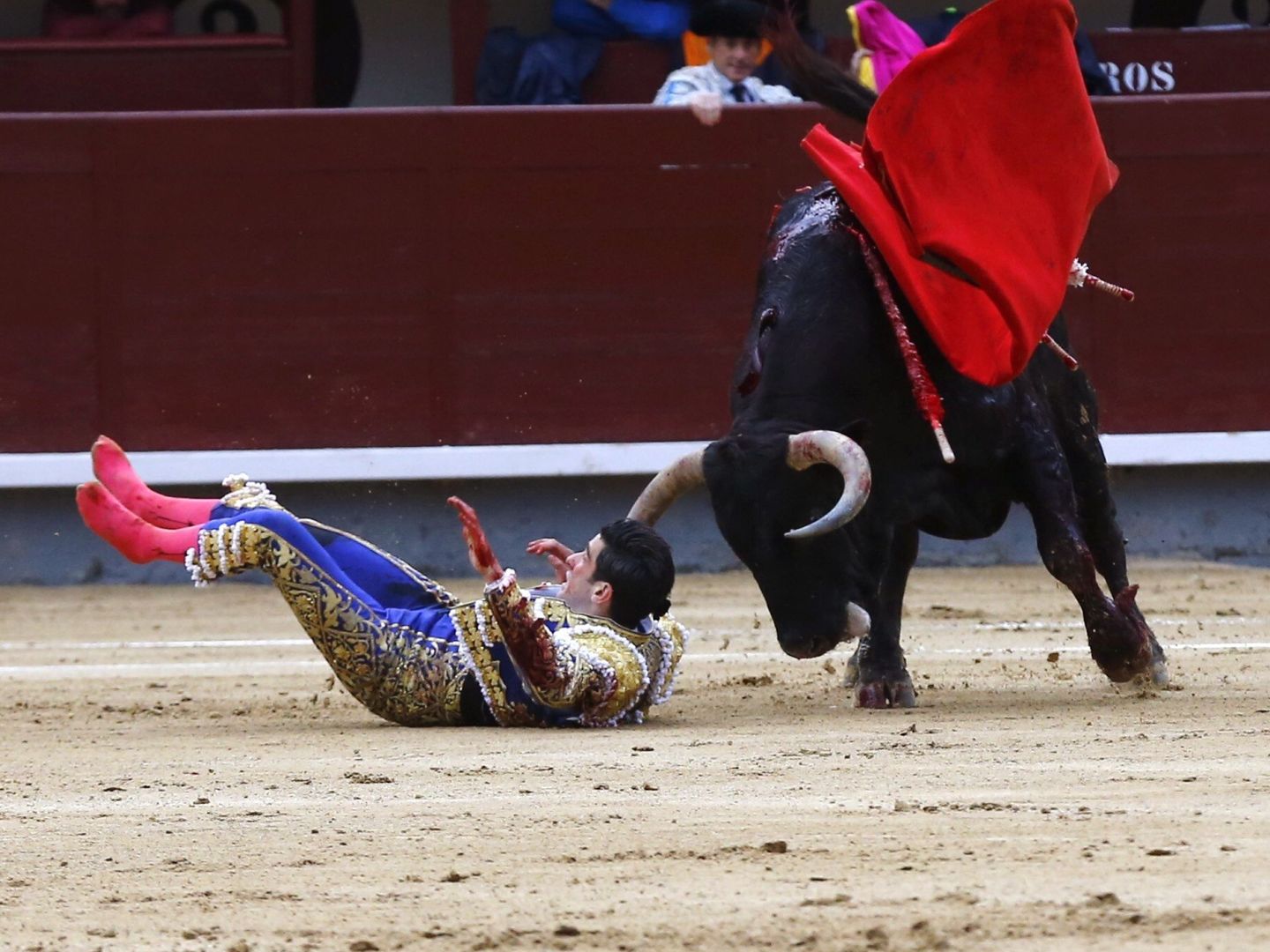 El diestro López Simón sufre una cogida en el decimoctavo festejo de la Feria de San Isidro. (EFE) 