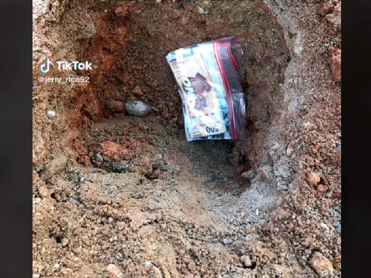 Foto: A pesar de guardar el dinero dentro de una bolsa, se estropeó al enterrarlo (TikTok/@jerry_rico92)