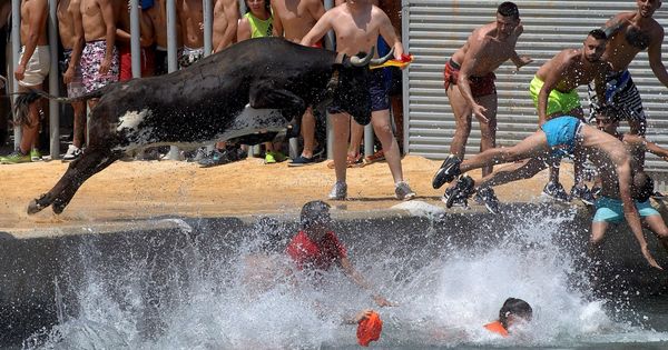 Foto: Imagen de una celebración de los Bous a la mar en Denia (Reuters)