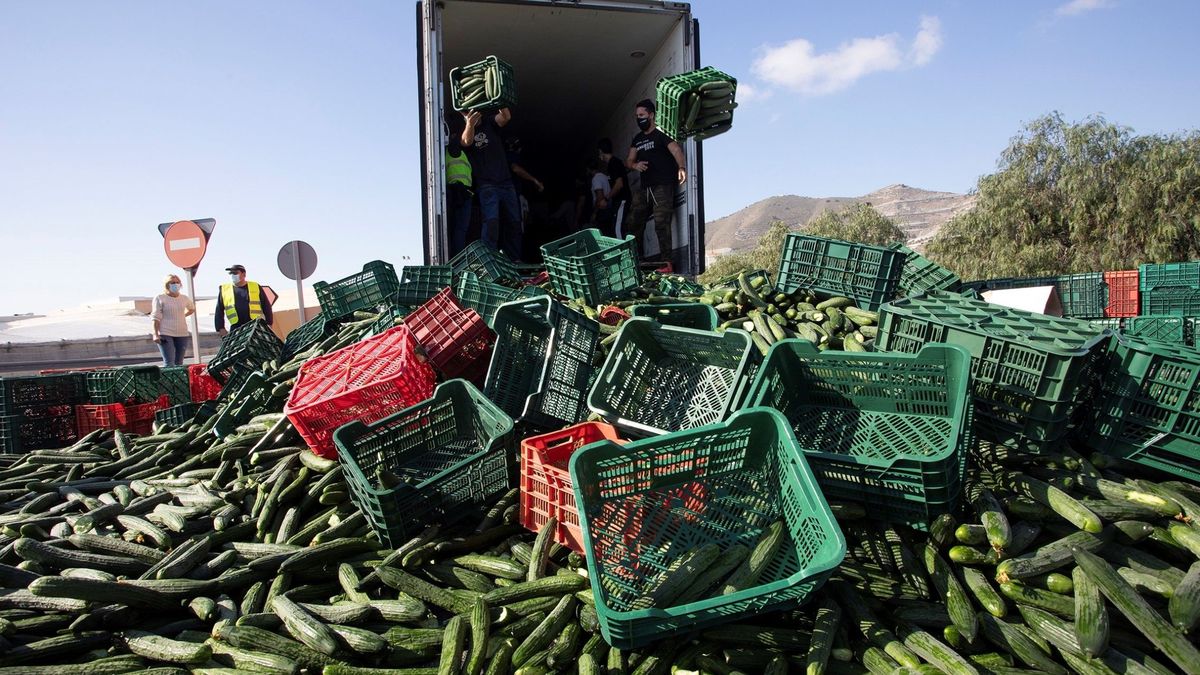 Noruega vincula lotes de pepino español a un brote de salmonela con más de 70 afectados