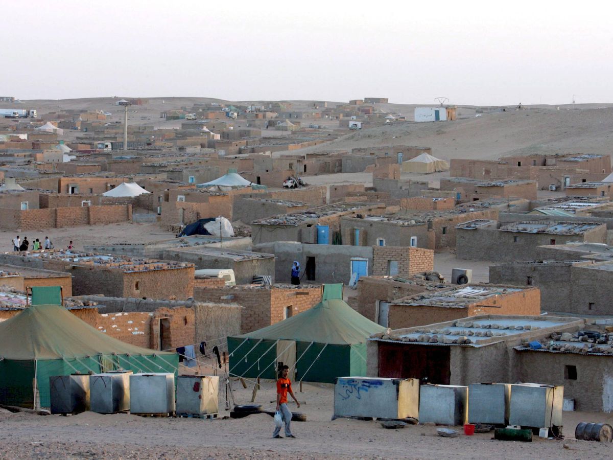 Foto: Campamentos saharauis en Tinduf. (EFE)