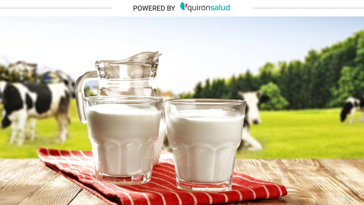 Siete mitos de la leche de vaca: ni produce mucosidad ni aumenta el riesgo de cáncer