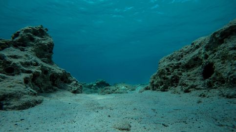 El calentamiento de las profundidades de los océanos: un panorama desolador