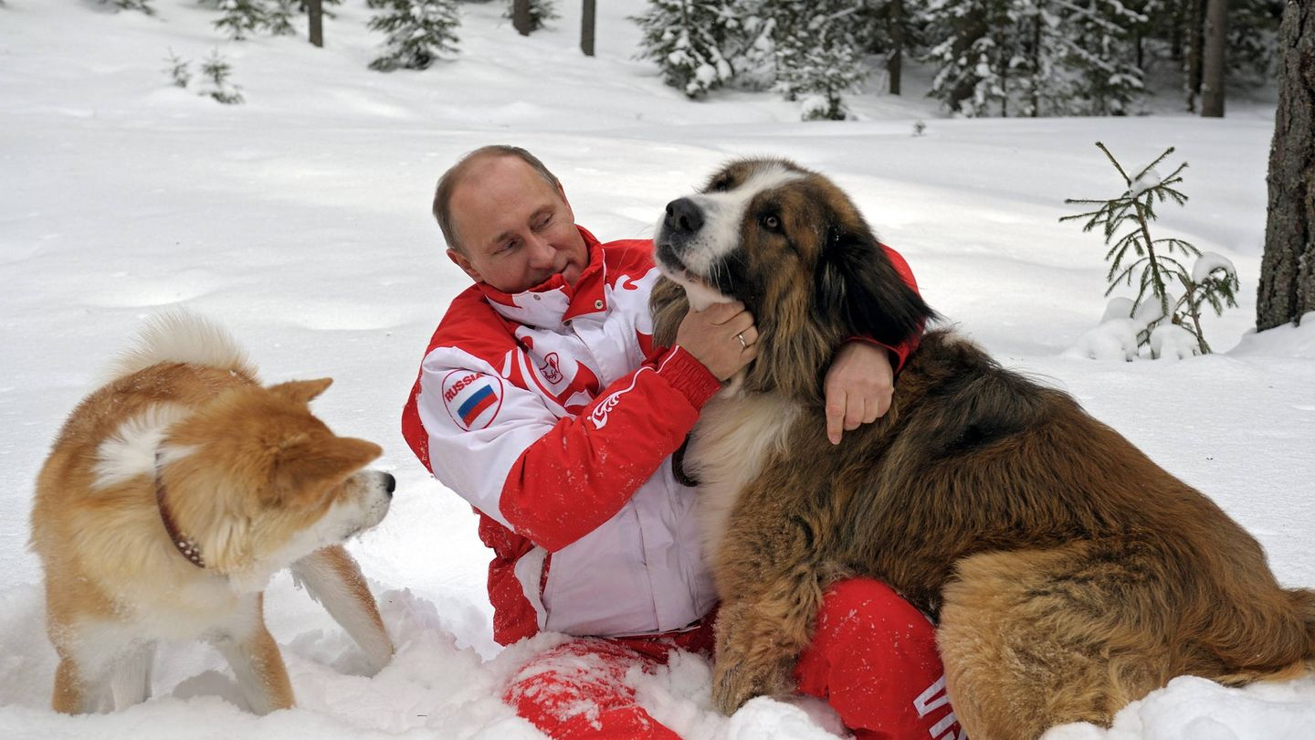 El presidente ruso, Vladímir Putin, juega con sus perros Buffi (d) y Yume (i) en su residencia campestre de Novo-Ogariovo, a las afueras de Moscú. (EFE)