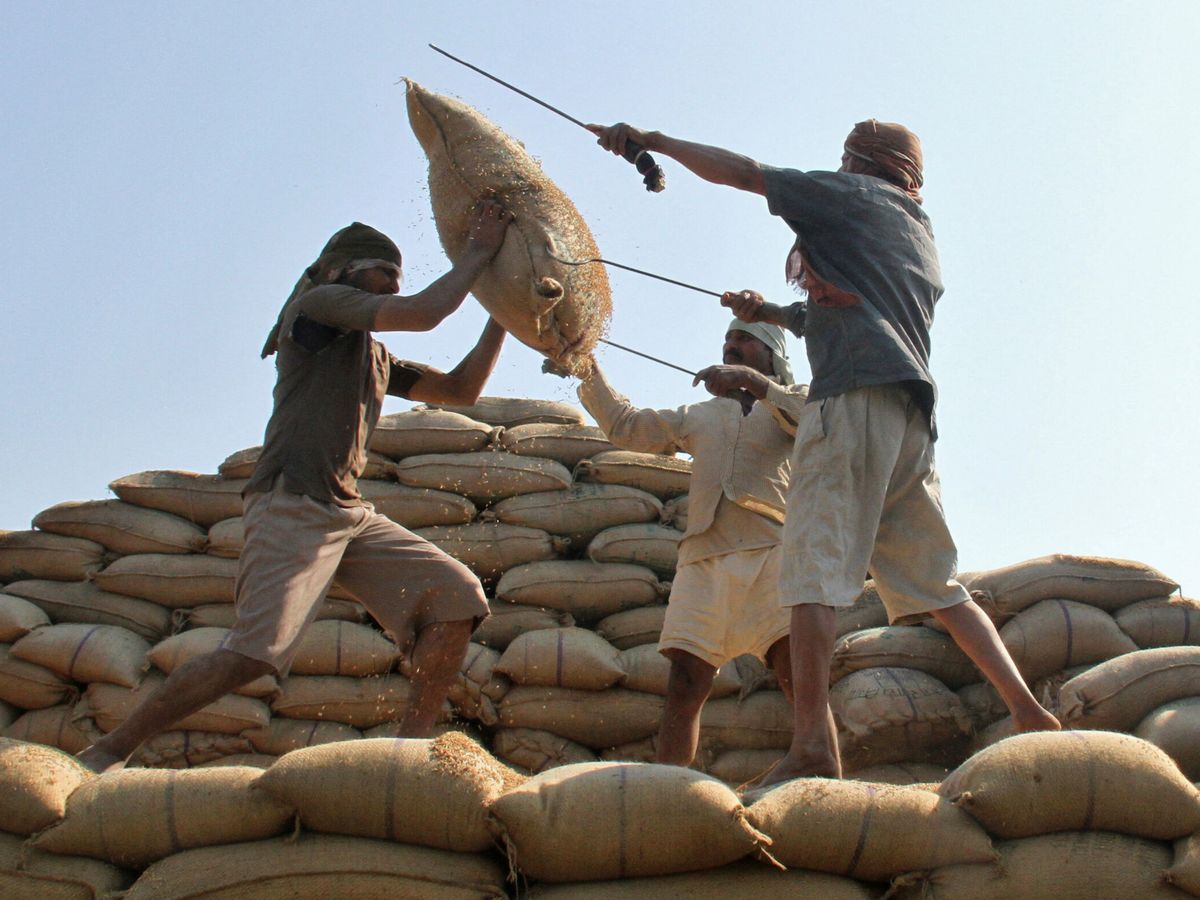 Foto: Trabajadores levantan un saco de arroz en Chandigarh, India. (Reuters/Ajay Verma)