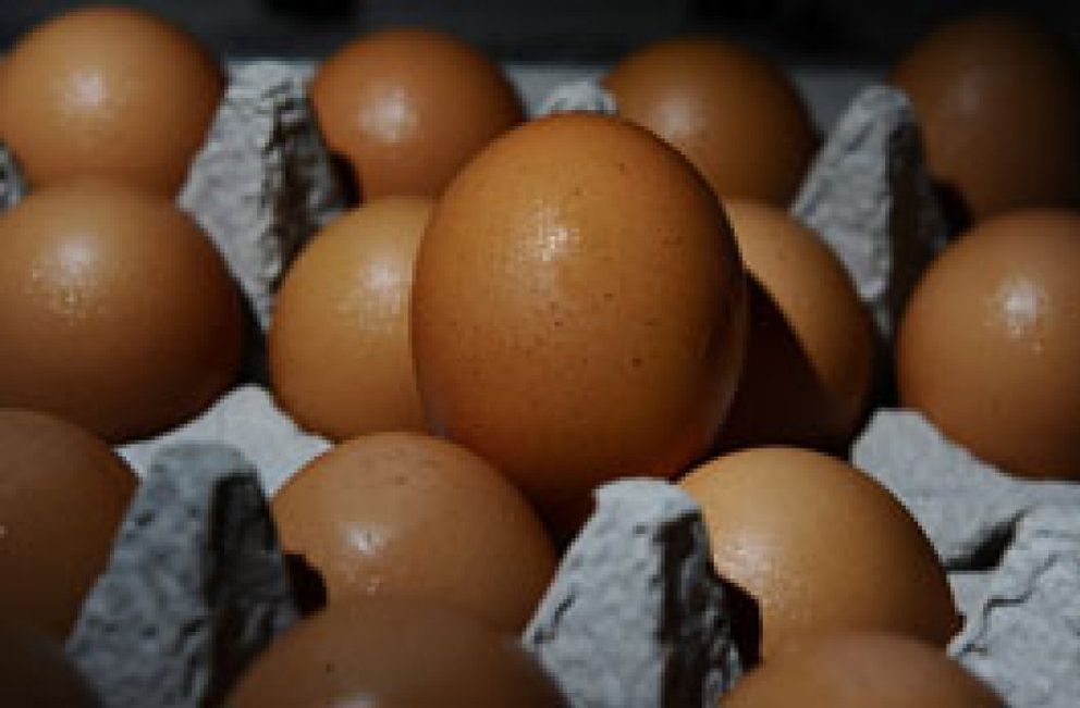 Foto: Un brote de salmonela obliga a EEUU a retirar del mercado 380 millones de huevos