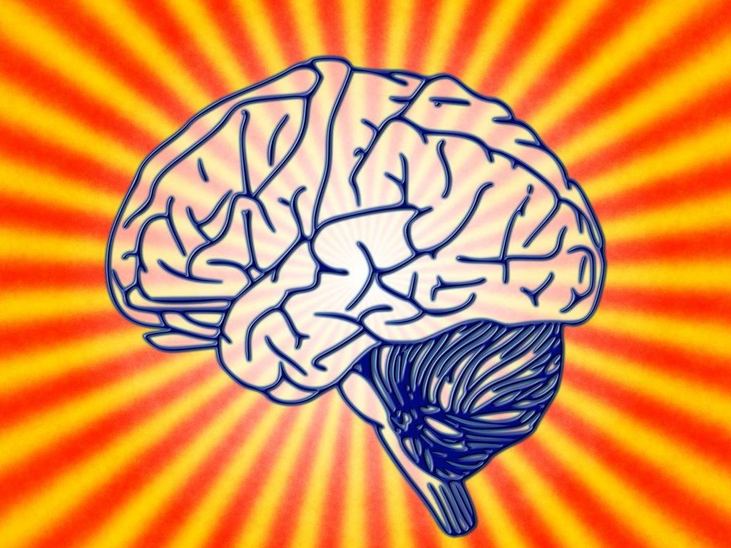 La ciencia aún no comprende cómo funciona la memoria en el cerebro (Foto: Pixabay)