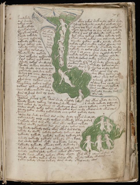 Foto: Detalle de una página del manuscrito Voynich. 
