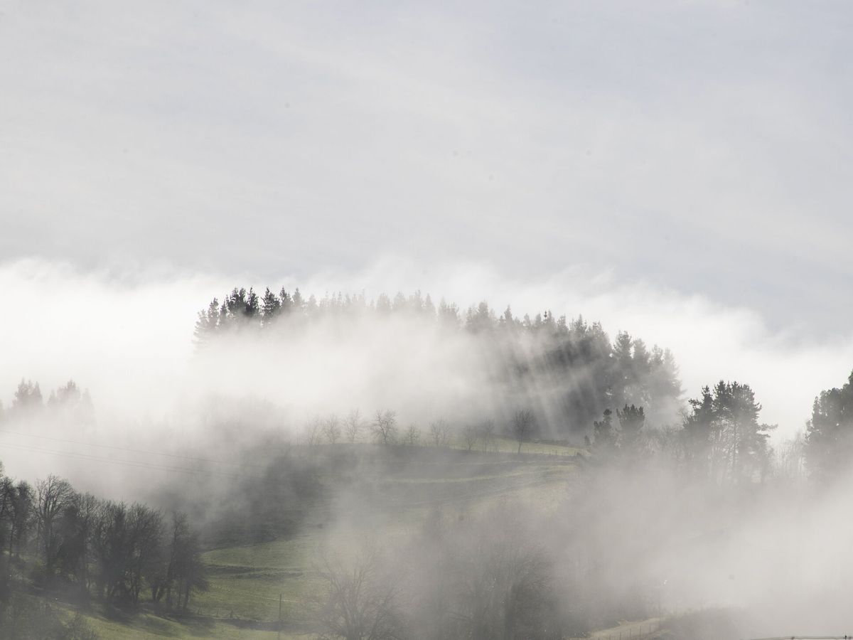 Foto: Niebla en Lugo, Galicia. (EFE/ Eliseo Trigo)