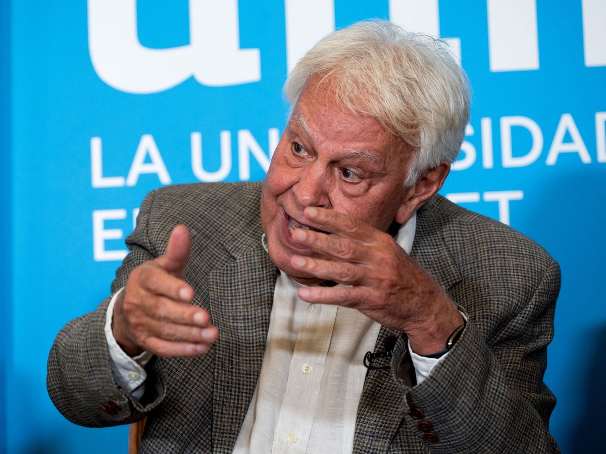 Foto: El expresidente Felipe González. (EFE/Fernando Villar)