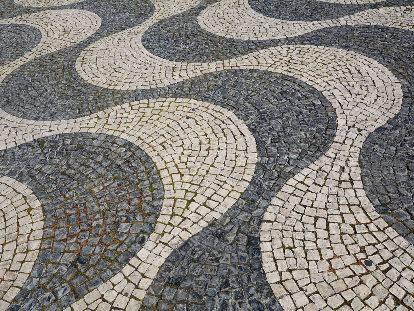 Pavimentos de Lisboa. 