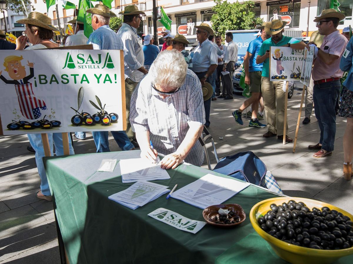 Foto: Piden la retirada de los aranceles de EEUU a la aceituna negra española. (EFE)