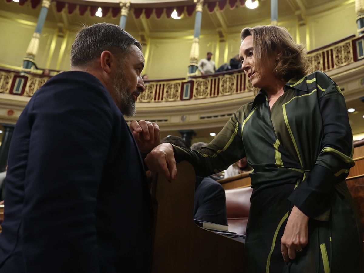 Foto: El líder de Vox, Santiago Abascal (i), conversa con la portavoz parlamentaria del PP, Cuca Gamarra. (EFE/Kiko Huesca)