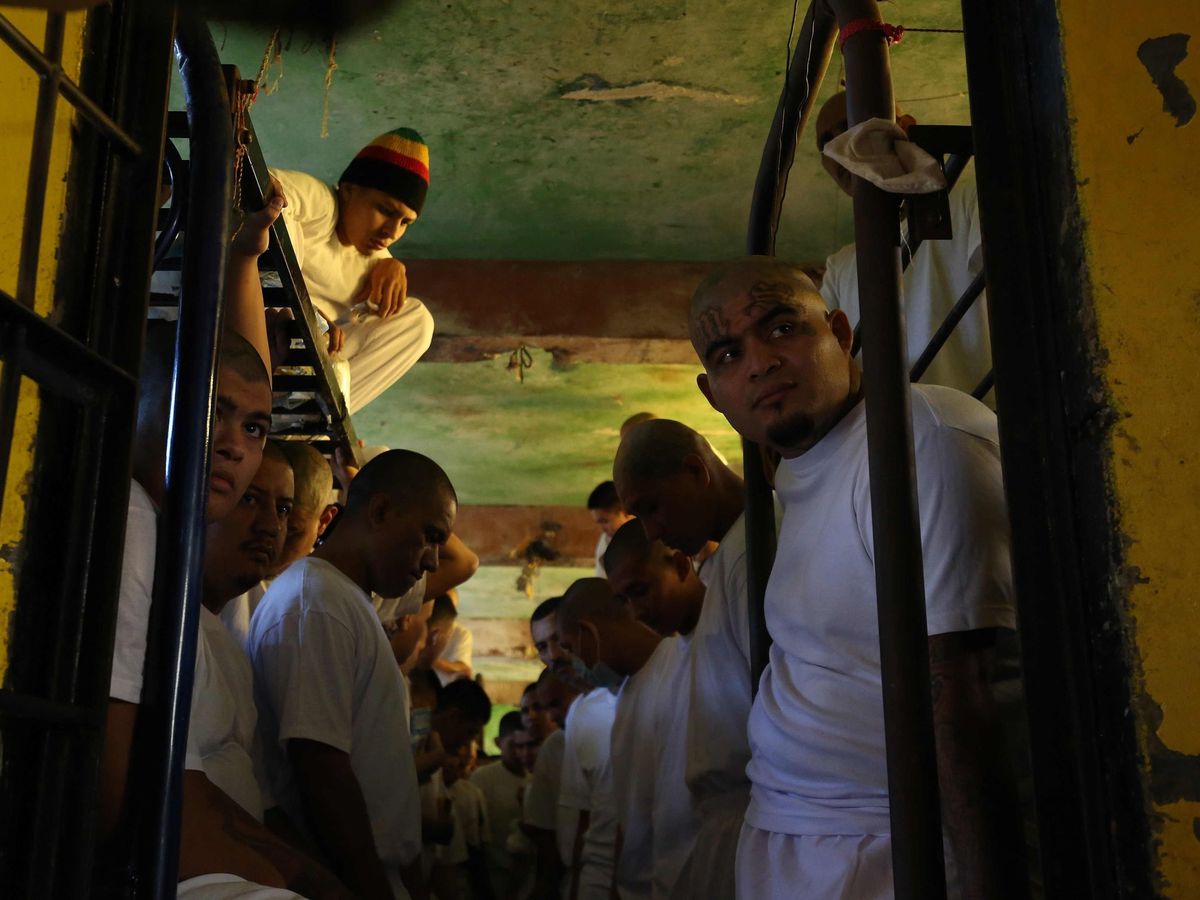 Foto: Miembros de la pandilla Mara Salvatrucha (MS13), en el Centro Penal de Seguridad de Chalatenango (El Salvador). Foto: Efe