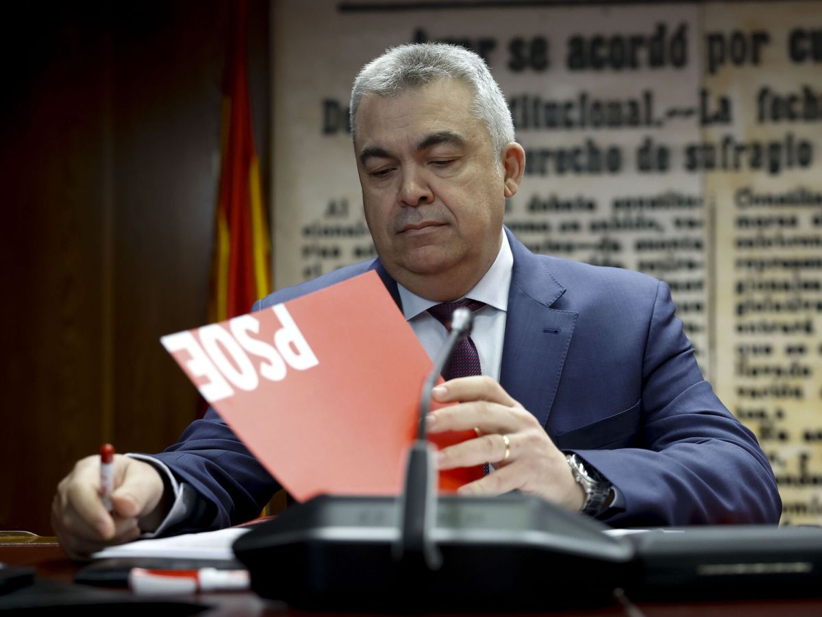 Foto: El secretario de Organización del PSOE, Santos Cerdán, en la comisión de investigación del Senado. (EFE/Mariscal)