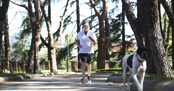 Foto: El presidente del Gobierno, Mariano Rajoy, durante una caminata matutina por los jardines del recinto del Palacio de la Moncloa. (EFE)