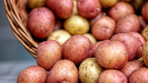 China cultiva la primera patata del mundo mediante semillas