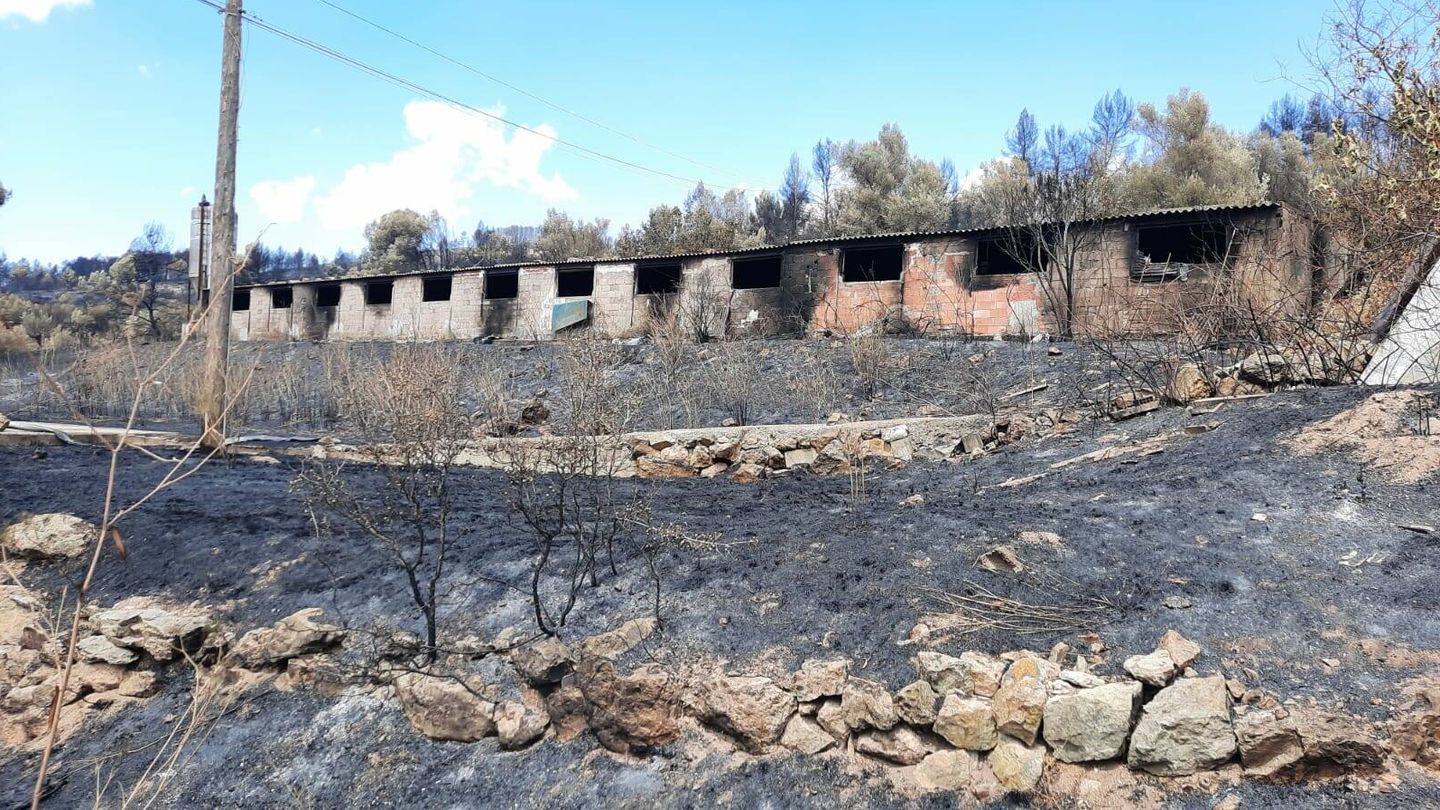 Una explotación porcina en Teresa de Bejís, abandonada antes del incendio y calcinada por las llamas. (V. R.)