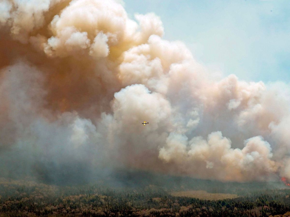 Foto: Columna de humo de un incendio en Canadá. (Reuters/Gobierno de Nueva Escocia)