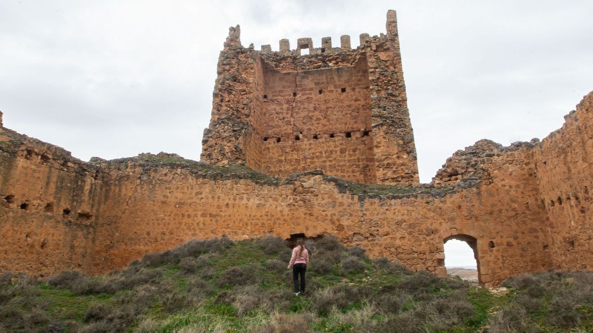 Venden por 45.000 euros un castillo en Soria: eso sí, tiene un pequeño inconveniente