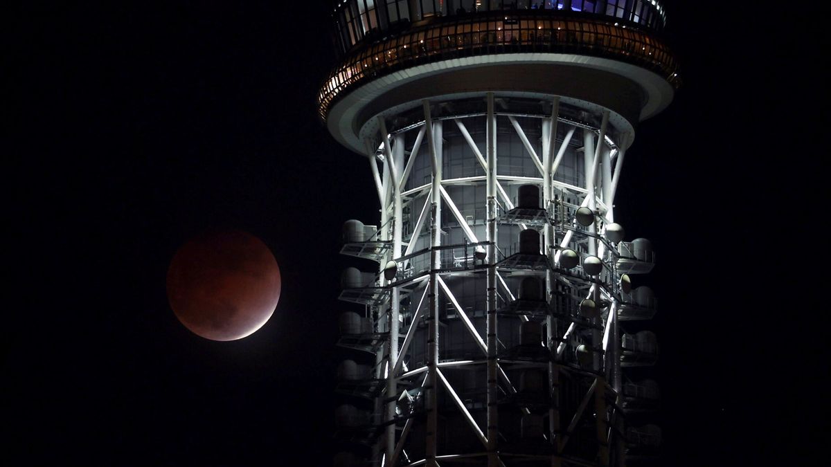 ¿Te has perdido el último eclipse lunar del 2021? Así se ha visto desde España (y el mundo)