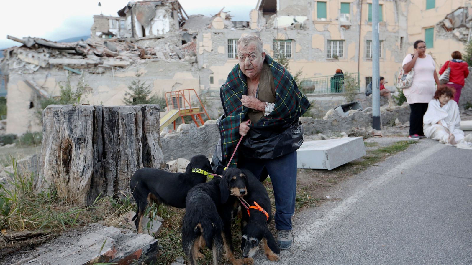 Foto: Un hombre protege a sus perros tras el terremoto en Amatrice, el 24 de agosto de 2016 (Reuters)