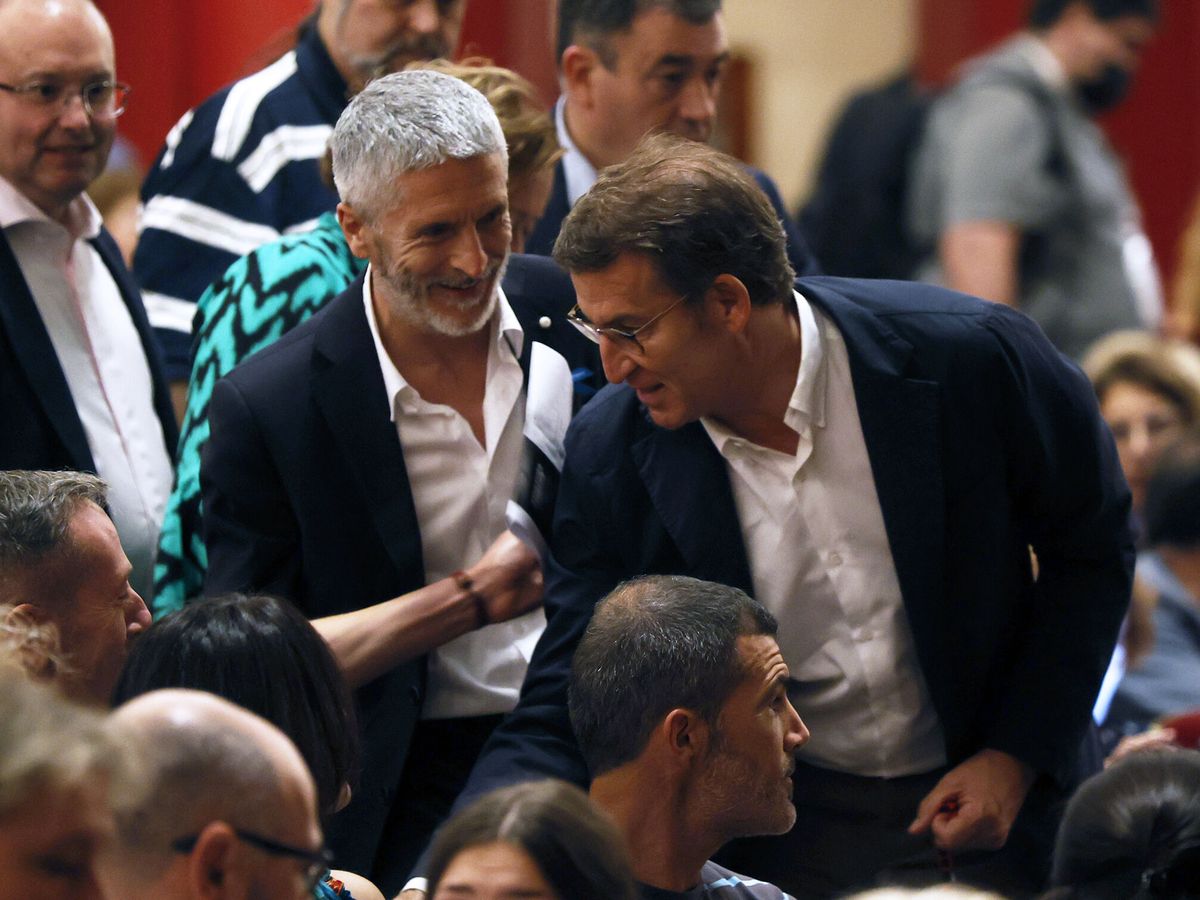 Foto: El líder del PP, Alberto Núñez Feijóo, y el ministro del Interior, Francisco Grande-Marlaska. (EFE/Javier Lizón)