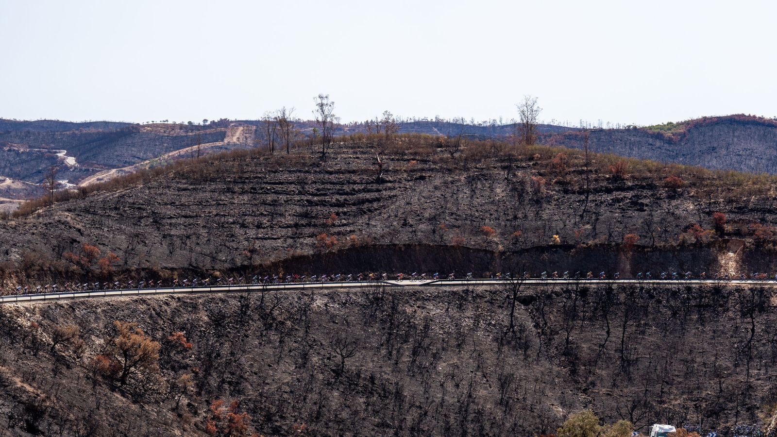 Los bomberos dan por extinguido el incendio forestal declarado en El Almendro (Huelva)