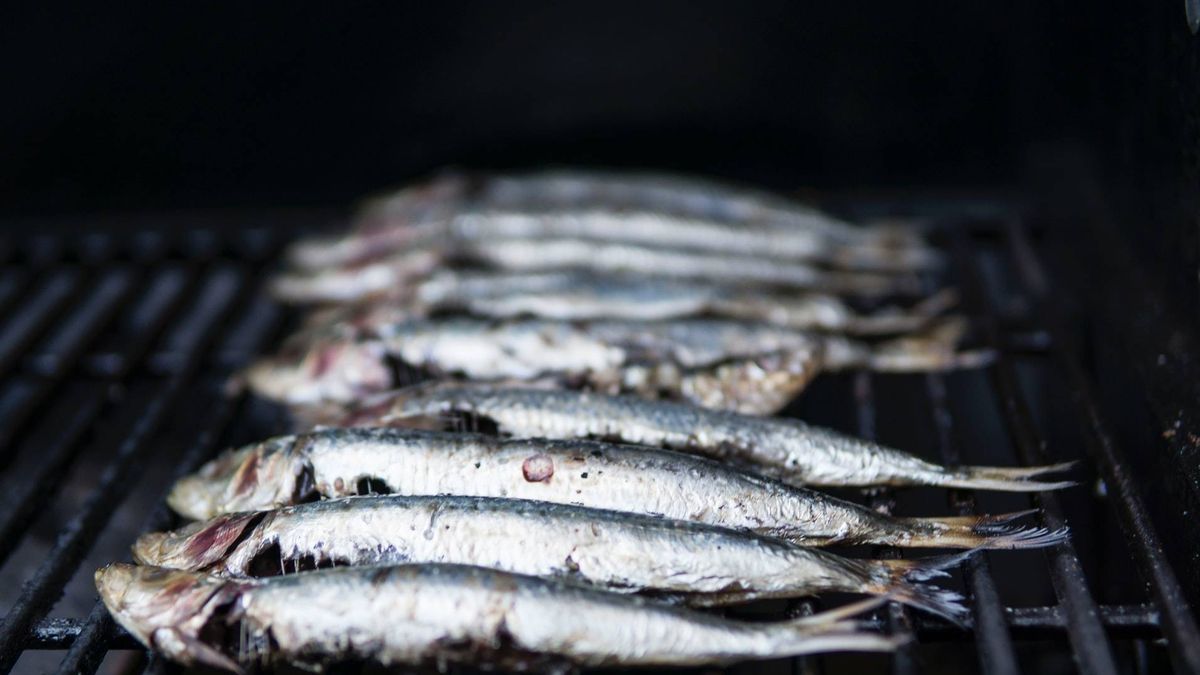 ¿Crees que comer sardinas es saludable? Te quedas corto