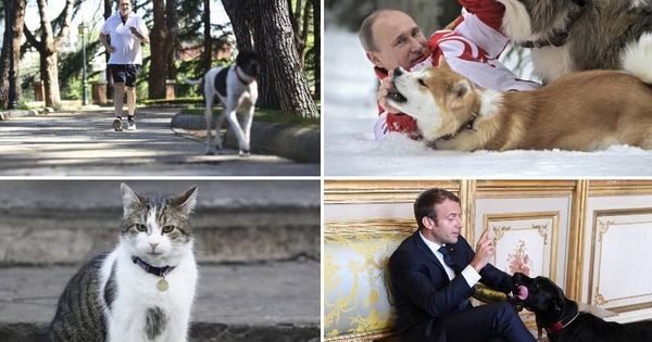 Foto: Rajoy, Putin o Macron son algunos de los mandatarios que tienen mascotas.
