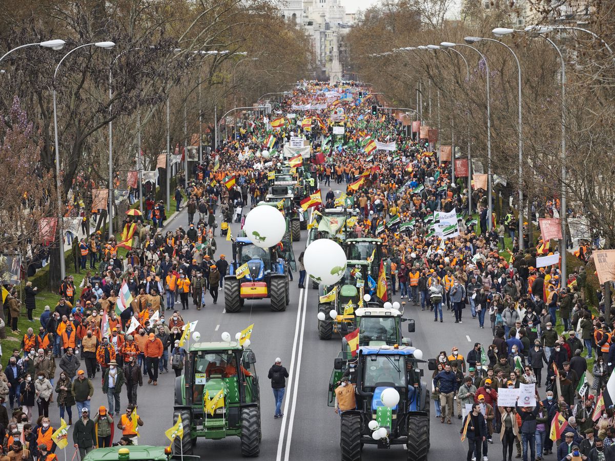 Foto: Manifestación por la defensa del campo español en Madrid. (EFE/Luca Piergiovanni)
