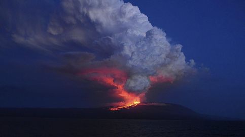 Entra en erupción un volcán Wolf en Galápagos, donde habitan especies únicas