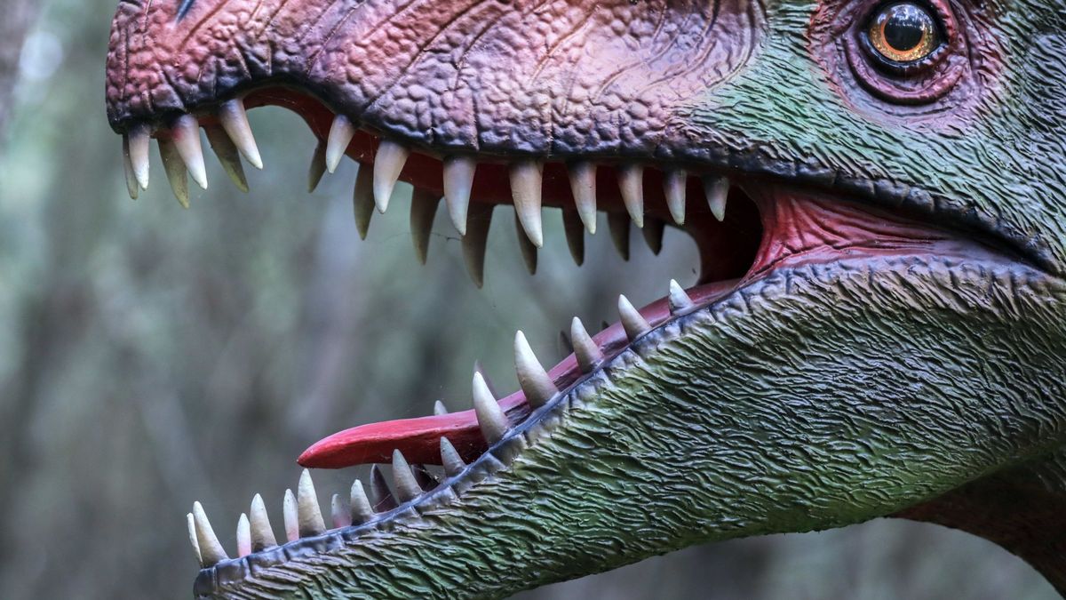 Enormes o pequeños: esta es la razón por la que no hubo dinosaurios 'medianos'