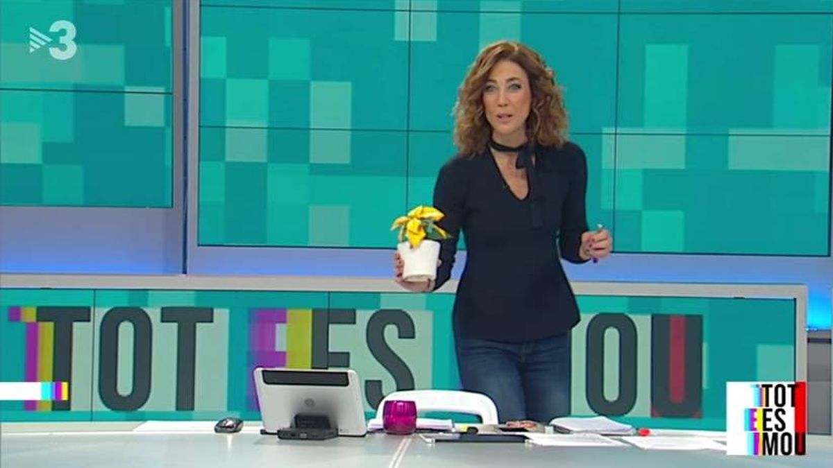 TV3 desautoriza a una presentadora por un guiño a la causa independentista