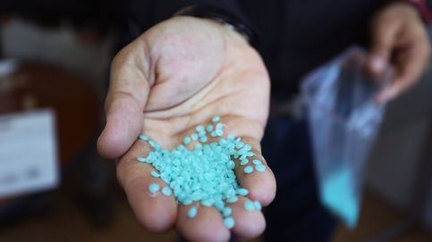 Crean un plástico biodegradable que se descompone en solo tres meses