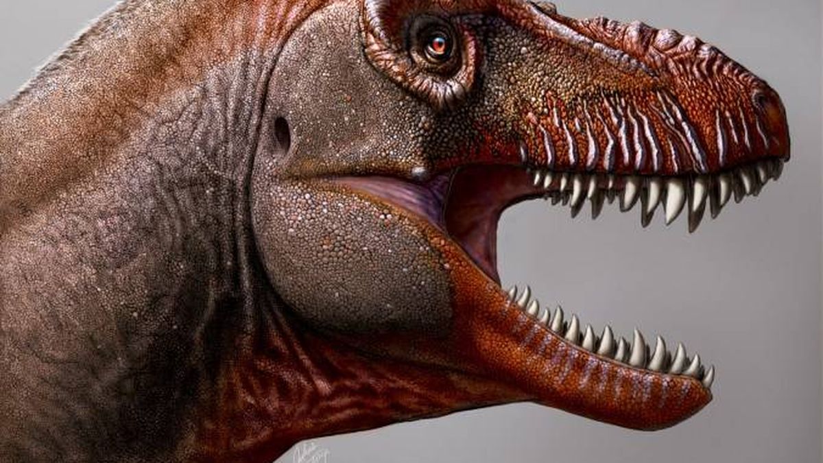 Descubierto el 'segador de la muerte', un pariente lejano del Tiranosaurio Rex