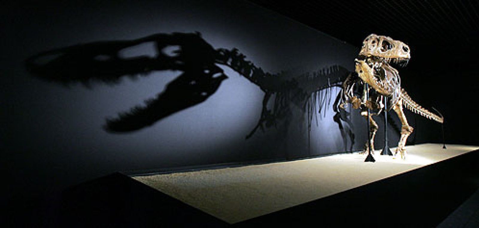 Foto: Llega a Madrid la mayor colección de dinosaurios del mundo