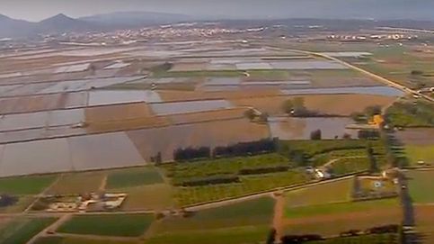 La maldición del Delta del Ebro: otro año sin cosecha por sequía, tormentas y granizadas