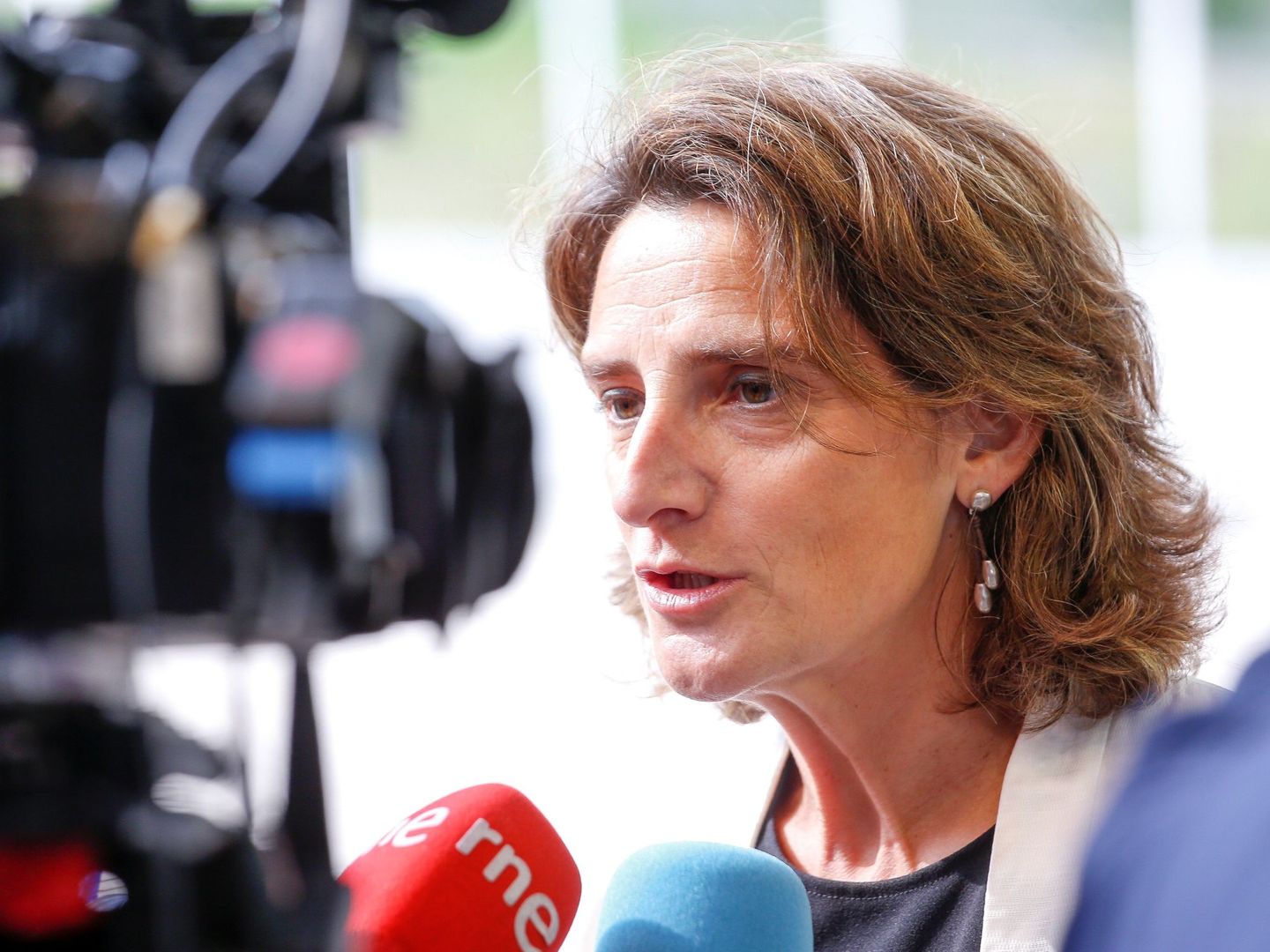La nueva ministra española de Transición Ecológica, Teresa Ribera. (EFE)