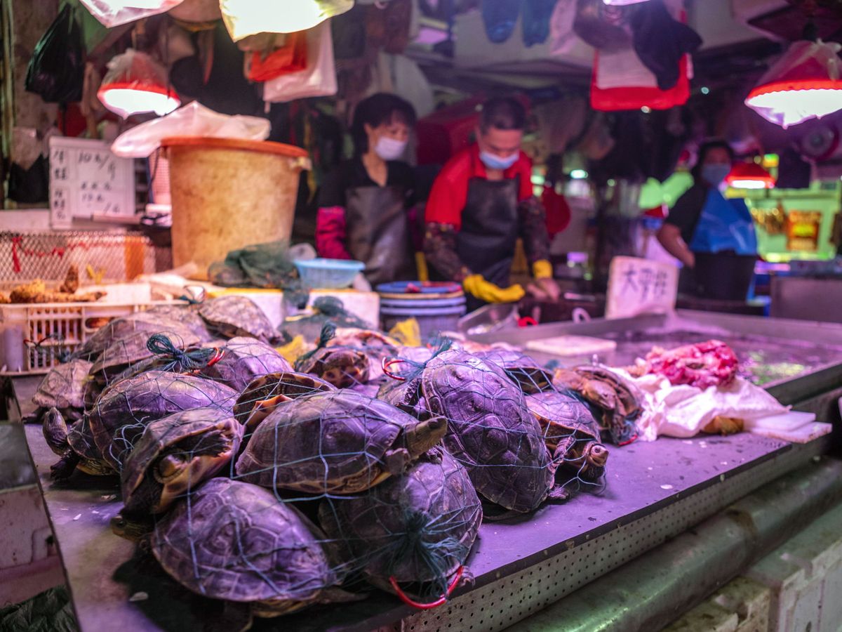 Foto: El mercado de Guangzhou, en China. (EFE)