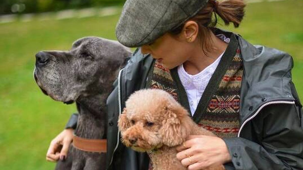 Los perros de los famosos que nos derriten de amor en Instagram
