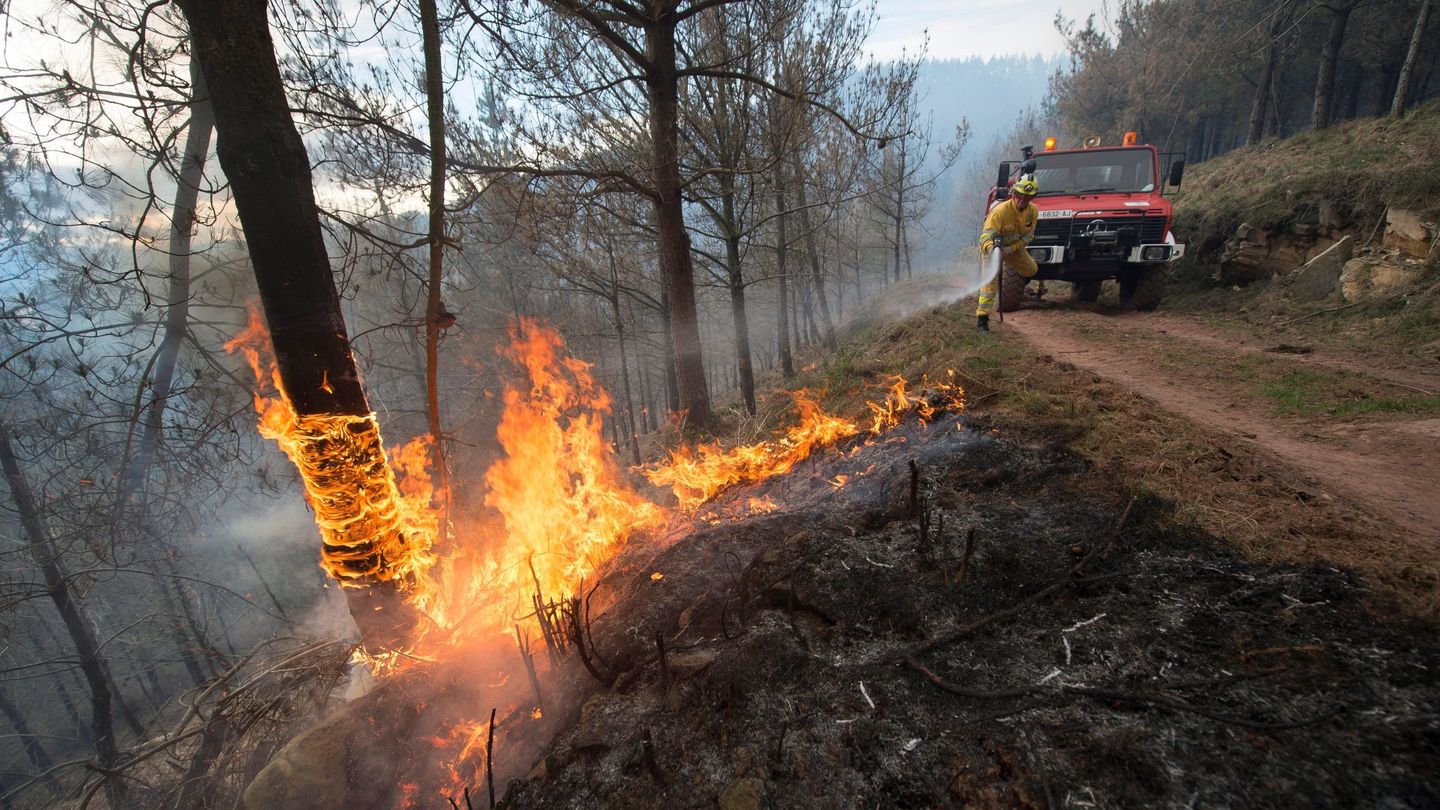 Incendio forestal en la localidad cántabra de Vargas. (EFE/Pedro Puente Hoyos)
