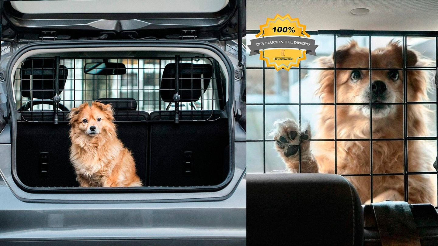 Los arneses, jaulas y transportines aprobados por la DGT para perros y gatos